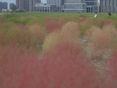 -映月湖中央公园