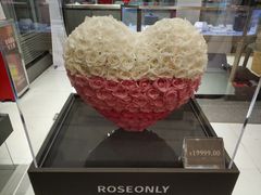 -ROSEONLY诺誓(广州K11店)