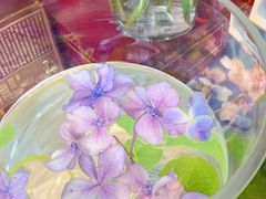 -蘇锦宴·淮扬菜烤鸭·小院(三元桥霄云路店)