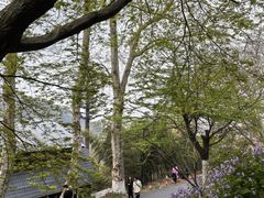 -莫干山风景区