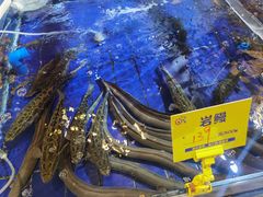 -79号渔船海鲜饭店(华强北店)