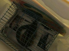 -北京观赏动物医院·24小时大型综合·猫专科·异宠专科