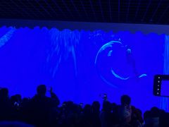 -多彩贵州城极地海洋世界