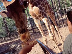 -清迈夜间动物园