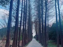 -上海滨江森林公园