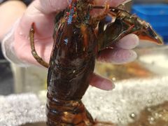 -亚马逊蒸汽活海鲜自助(LCM置汇旭辉广场店)