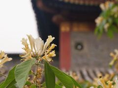-北京动物园