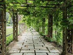 -北京张裕爱斐堡酒庄