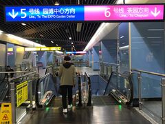 -大龙山(地铁站)