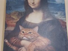 -飞行喵MR PILOT|猫舍·猫咖(静安大融城店)