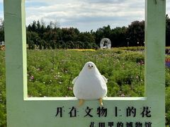 -荷兰花海