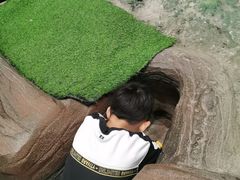 -辽宁古生物博物馆