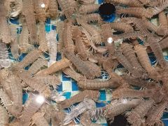 -南海底小海鲜·湘菜(鲁巷吴家湾店)