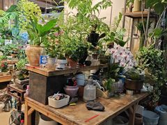 -双季花艺园艺市场(浦东店)