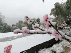 -西贝莜面村(上海百联西郊店)