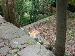 -雨花胜境