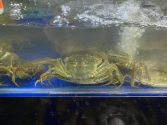 -阳澄湖大闸蟹·琼灵阁牌品牌连锁(吴中总店)