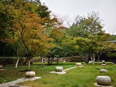 -镇江市南山风景名胜区竹林景区