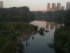 -重庆彩云湖湿地公园
