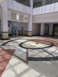 -上海交通大学医学院附属上海儿童医学中心(陆家嘴总院区)