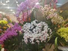 -双季花艺园艺市场(浦东店)