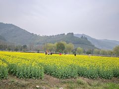-径山花海