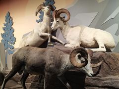 -陕西自然博物馆