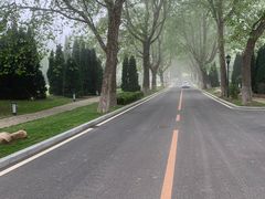 -棒棰岛宾馆景区