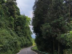 -碧峰峡风景区