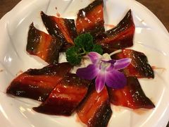 -蜀九香火锅(彩虹店)