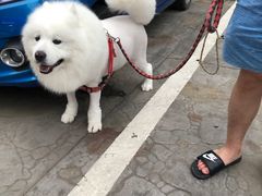 -宠福鑫康馨动物医院·骨科·眼科