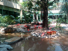 火烈鸟-白虎自助餐厅·真老虎·景观自助餐厅(广州长隆酒店)