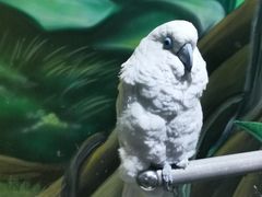 -海合安武汉极地海洋公园