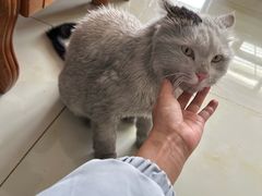 -宠福鑫康馨动物医院·骨科·眼科