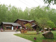 -合肥滨湖国家森林公园