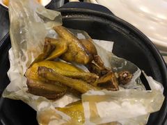 -鸽鸟轩(石岐店)