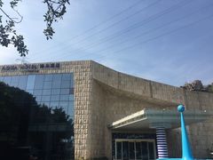 -深圳东部华侨城瀑布酒店