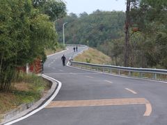 -冠豸山景区