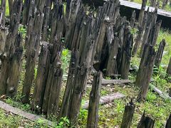 -河姆渡遗址博物馆
