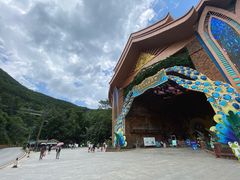 -西双版纳原始森林公园