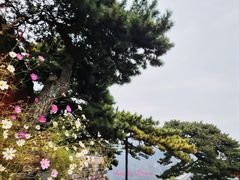 -妙峰山风景名胜区