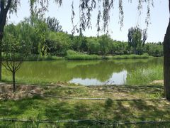 -大兴滨河森林公园