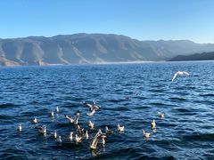 -丽江泸沽湖景区