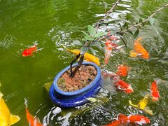 -漫笙舍Manse·咖啡·民宿