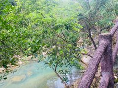 -广州白江湖森林公园