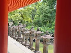 -奈良公园