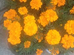 iphone_upload_pic-迎泽公园