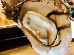 -土蚝·高压锅生蚝(百姓美食街店)