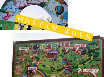 好天气+网红地打卡，完美