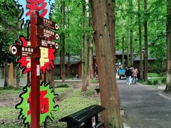 -东平国家森林公园